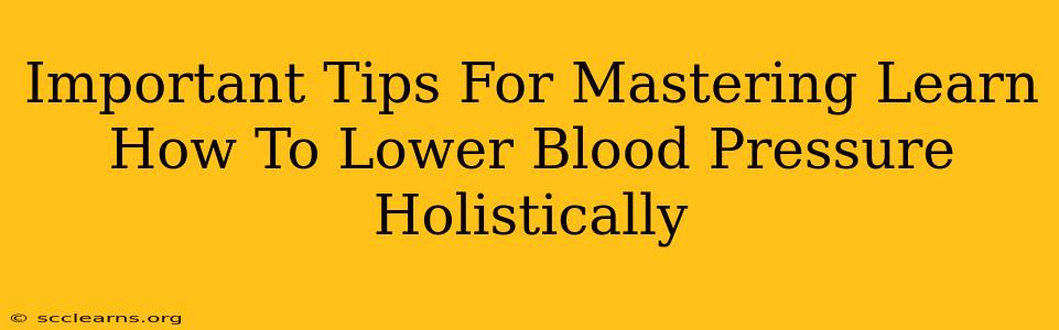 Important Tips For Mastering Learn How To Lower Blood Pressure Holistically