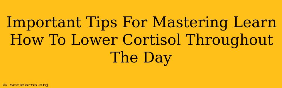 Important Tips For Mastering Learn How To Lower Cortisol Throughout The Day