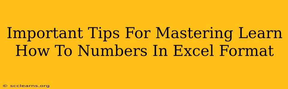 Important Tips For Mastering Learn How To Numbers In Excel Format