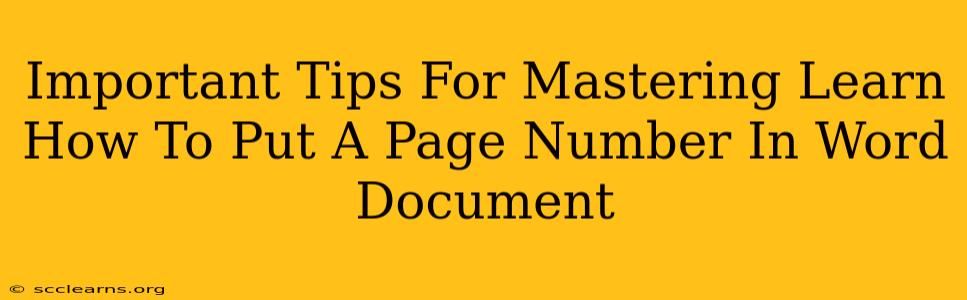 Important Tips For Mastering Learn How To Put A Page Number In Word Document