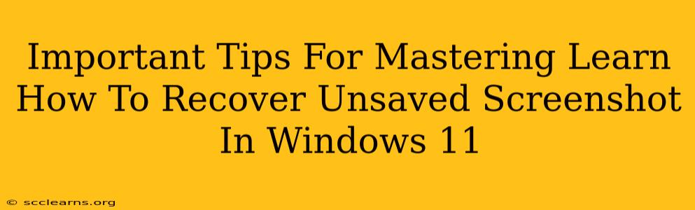 Important Tips For Mastering Learn How To Recover Unsaved Screenshot In Windows 11