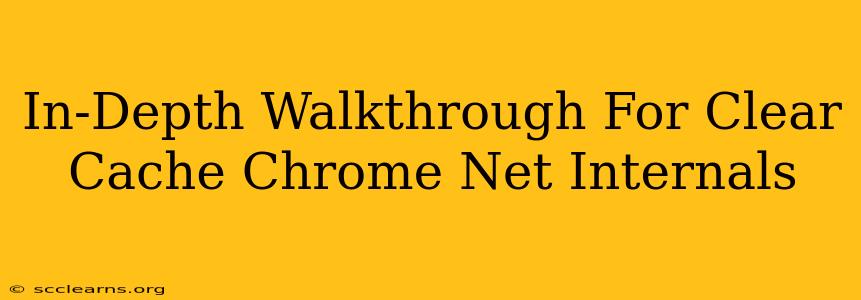 In-Depth Walkthrough For Clear Cache Chrome Net Internals