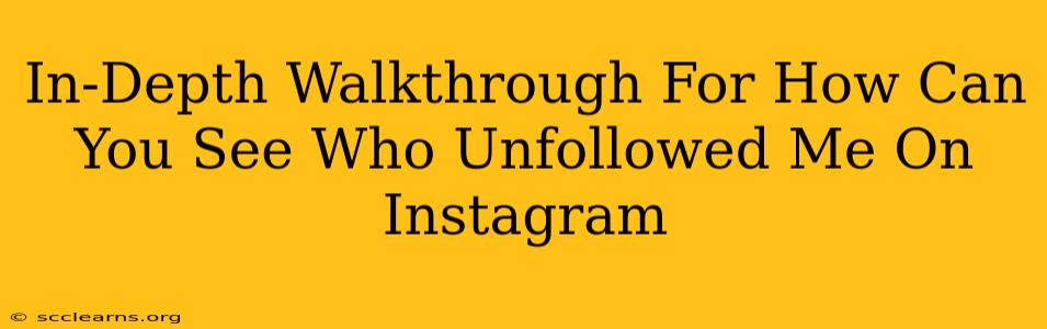 In-Depth Walkthrough For How Can You See Who Unfollowed Me On Instagram