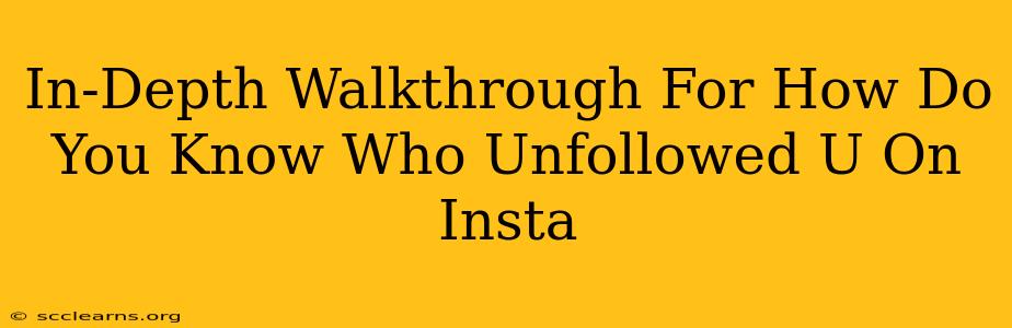 In-Depth Walkthrough For How Do You Know Who Unfollowed U On Insta