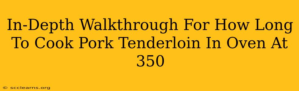 In-Depth Walkthrough For How Long To Cook Pork Tenderloin In Oven At 350