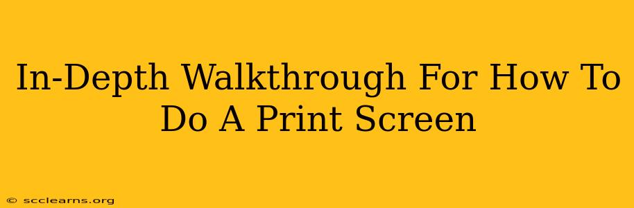 In-Depth Walkthrough For How To Do A Print Screen