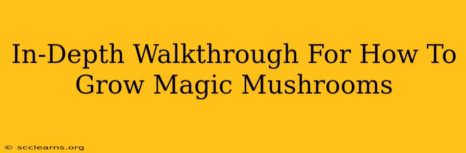 In-Depth Walkthrough For How To Grow Magic Mushrooms