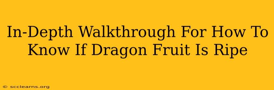 In-Depth Walkthrough For How To Know If Dragon Fruit Is Ripe