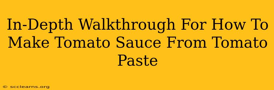 In-Depth Walkthrough For How To Make Tomato Sauce From Tomato Paste