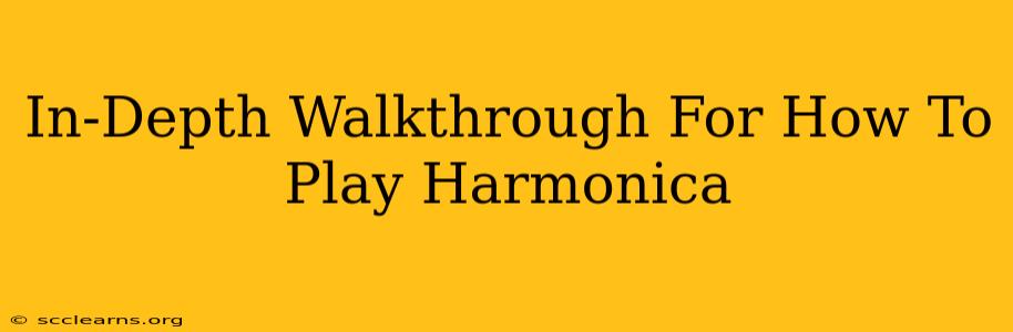 In-Depth Walkthrough For How To Play Harmonica