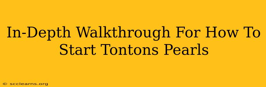 In-Depth Walkthrough For How To Start Tontons Pearls