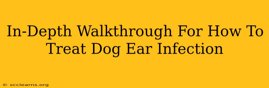 In-Depth Walkthrough For How To Treat Dog Ear Infection