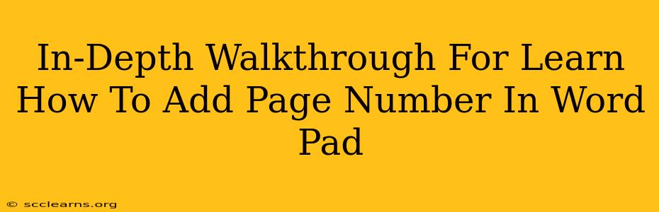 In-Depth Walkthrough For Learn How To Add Page Number In Word Pad