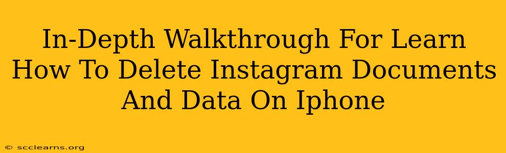 In-Depth Walkthrough For Learn How To Delete Instagram Documents And Data On Iphone