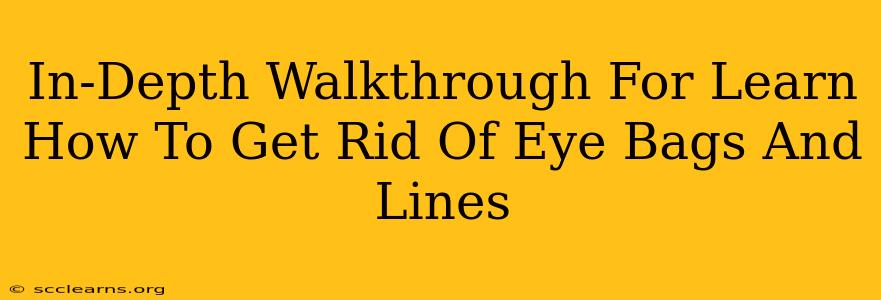 In-Depth Walkthrough For Learn How To Get Rid Of Eye Bags And Lines