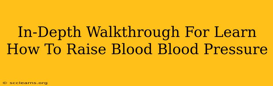 In-Depth Walkthrough For Learn How To Raise Blood Blood Pressure