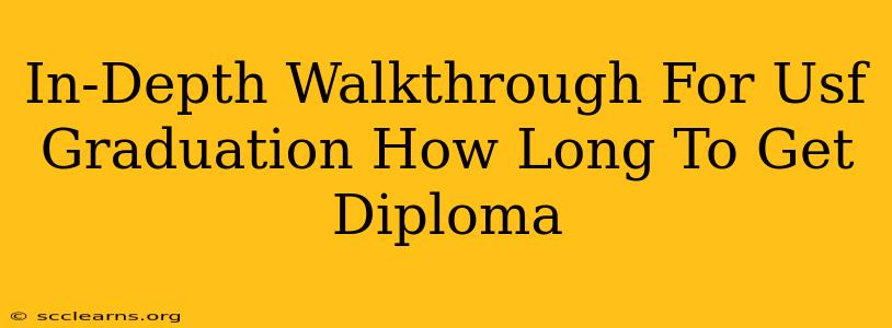 In-Depth Walkthrough For Usf Graduation How Long To Get Diploma