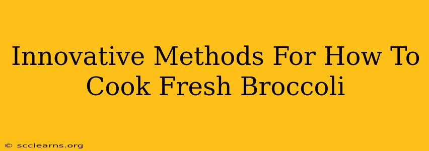 Innovative Methods For How To Cook Fresh Broccoli