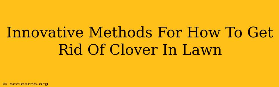 Innovative Methods For How To Get Rid Of Clover In Lawn