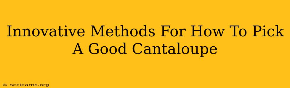 Innovative Methods For How To Pick A Good Cantaloupe