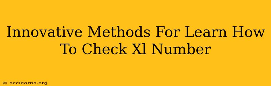 Innovative Methods For Learn How To Check Xl Number