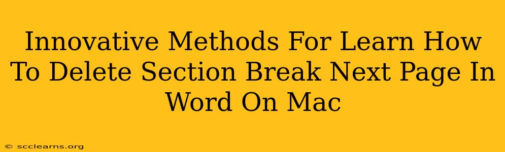 Innovative Methods For Learn How To Delete Section Break Next Page In Word On Mac