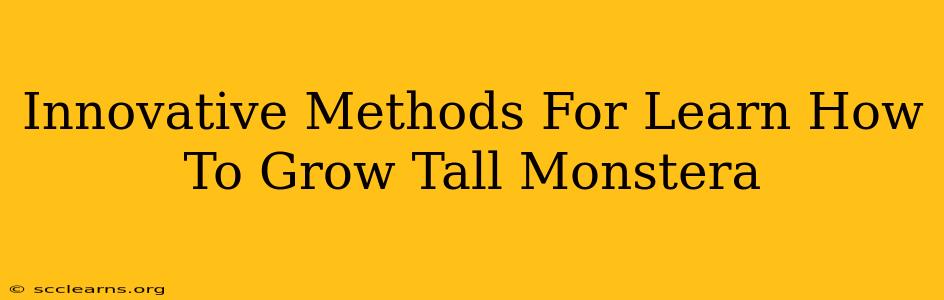 Innovative Methods For Learn How To Grow Tall Monstera