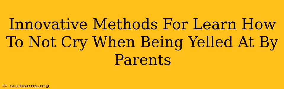 Innovative Methods For Learn How To Not Cry When Being Yelled At By Parents