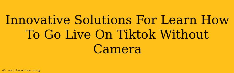 Innovative Solutions For Learn How To Go Live On Tiktok Without Camera