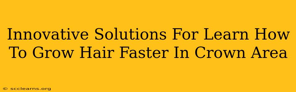 Innovative Solutions For Learn How To Grow Hair Faster In Crown Area