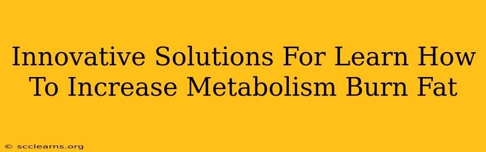 Innovative Solutions For Learn How To Increase Metabolism Burn Fat