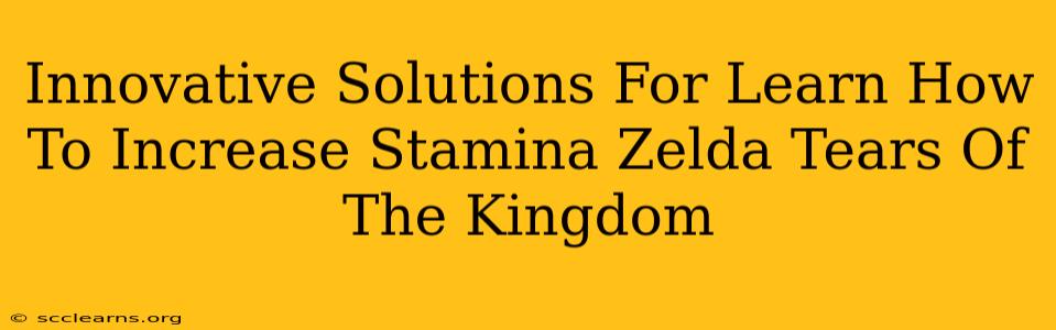 Innovative Solutions For Learn How To Increase Stamina Zelda Tears Of The Kingdom