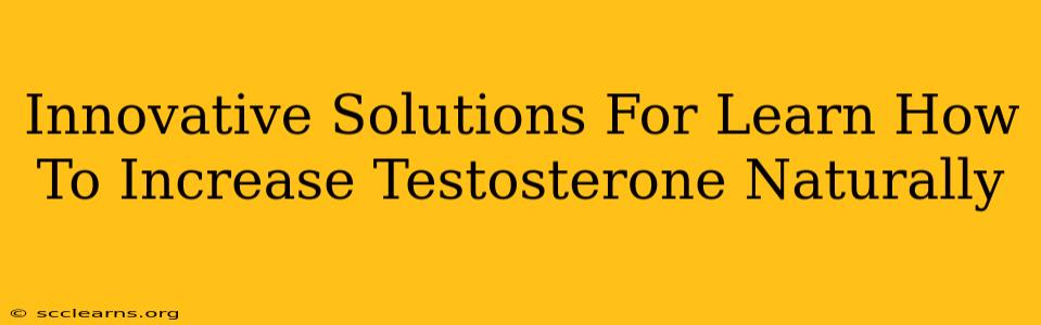 Innovative Solutions For Learn How To Increase Testosterone Naturally