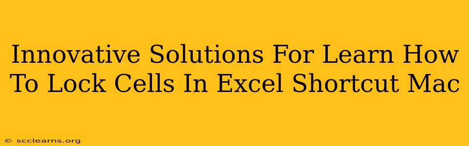 Innovative Solutions For Learn How To Lock Cells In Excel Shortcut Mac