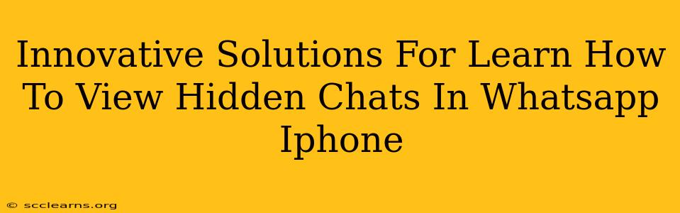 Innovative Solutions For Learn How To View Hidden Chats In Whatsapp Iphone