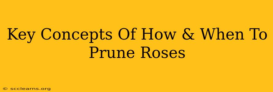 Key Concepts Of How & When To Prune Roses