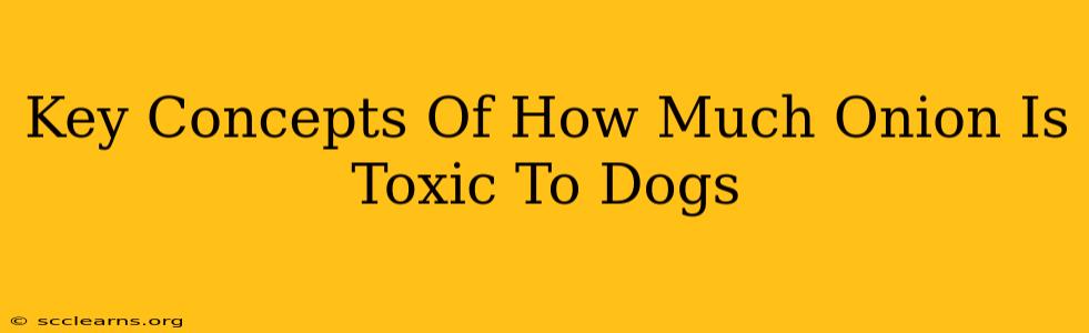 Key Concepts Of How Much Onion Is Toxic To Dogs