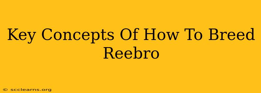 Key Concepts Of How To Breed Reebro