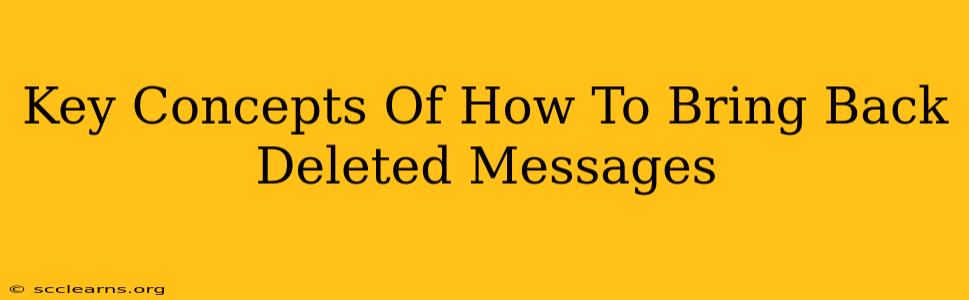 Key Concepts Of How To Bring Back Deleted Messages