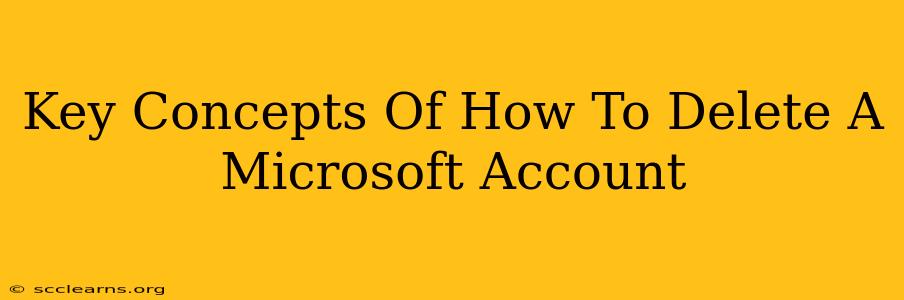 Key Concepts Of How To Delete A Microsoft Account