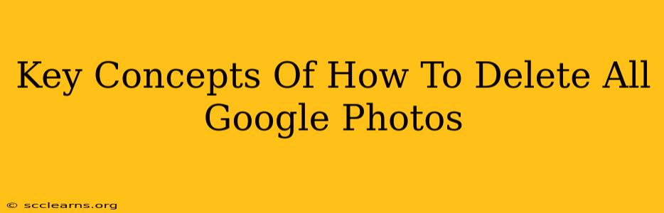 Key Concepts Of How To Delete All Google Photos