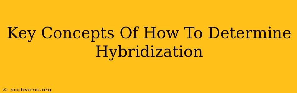 Key Concepts Of How To Determine Hybridization