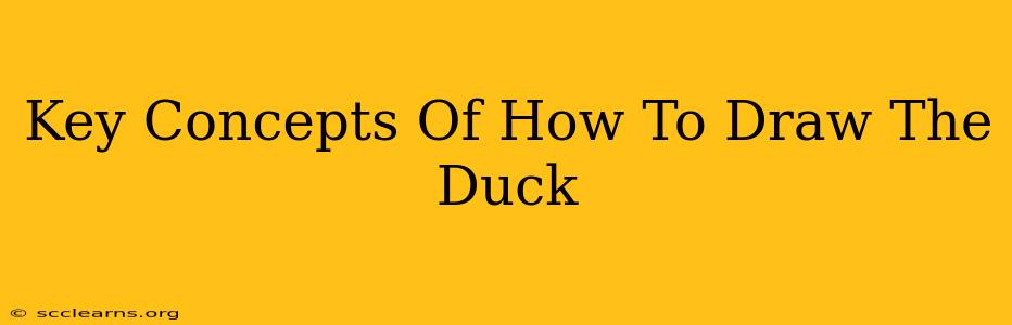 Key Concepts Of How To Draw The Duck