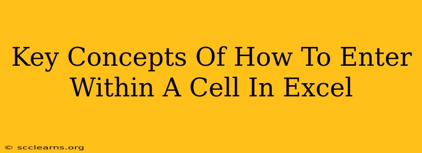 Key Concepts Of How To Enter Within A Cell In Excel