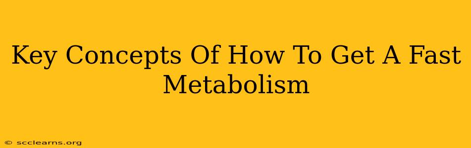 Key Concepts Of How To Get A Fast Metabolism