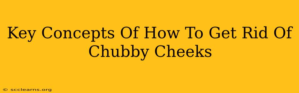 Key Concepts Of How To Get Rid Of Chubby Cheeks