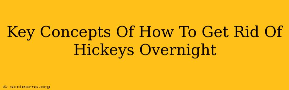 Key Concepts Of How To Get Rid Of Hickeys Overnight