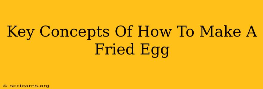 Key Concepts Of How To Make A Fried Egg