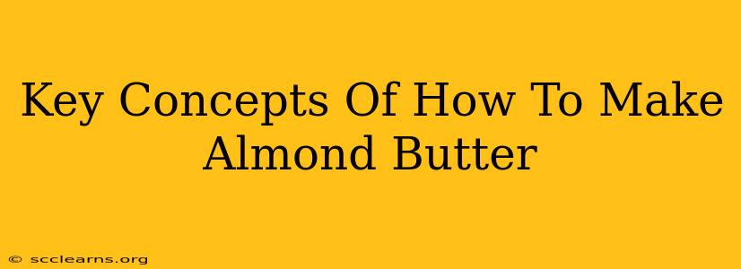 Key Concepts Of How To Make Almond Butter