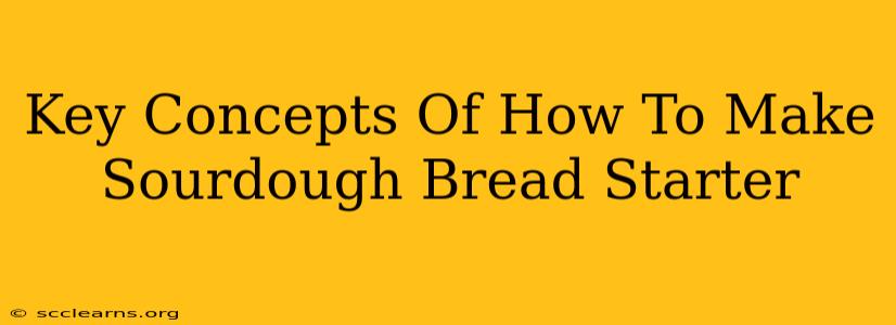 Key Concepts Of How To Make Sourdough Bread Starter